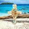 Coastal Shell Cross Wreath - Handcrafted Mother's Day Gift - Final sale / Non-returnable and Non-refundable